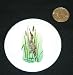3 button / pin printed with bittern, cattails, bird