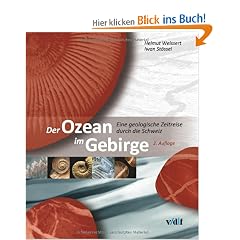 Der Ozean im Gebirge: Eine geologische Zeitreise durch die Schweiz