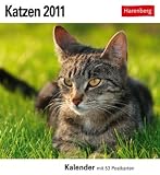 Produkt-Bild: Katzen 2011. Postkartenkalender: 53 Postkarten
