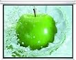 HDTV Rollo Leinwand f�r Beamer Heimkino 203 x 150 cm 16:9 4:3