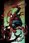 Ultimate Spider-Man Vol. 11: Carnage