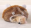 Jungle Cat Cave