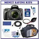 Sony Alpha A230 Digital SLR with 18-55mm Lens (DSLR-A230) + Transcend 8GB SDHC Secure Digital Memory Card + Willoughbys 55mm UV Protective Starter Kit