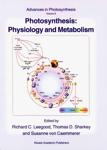 Photosynthesis: Physiology and Metabolism (Advances in Photosynthesis and Respiration)