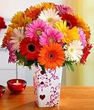 Deluxe Colorful Gerbera Daisies