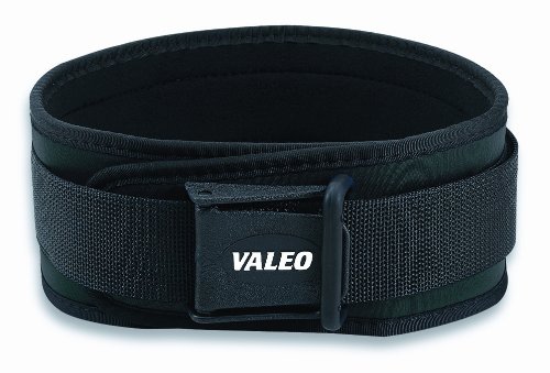 Valeo Back Support