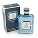Launched by the design house of Royal Copenhagen in 1976 ROYAL COPENHAGEN MUSK is classified as a refined subtle oriental fragrance. This masculine scent possesses a blend of basil sage clove nutmeg and moss. It is recommended for evening wear.