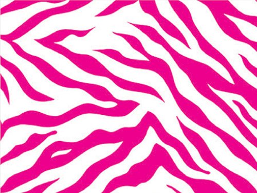 Trendy Boutique HOT PINK & WHITE ZEBRA Striped Gift Wrap Wrapping Paper 16 Foot Roll