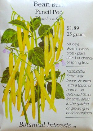Bush Bean Pencil Pod Yellow Wax Snap Heirloom Seeds 60 Seeds