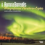 Aurora Borealis 2014 - Nordlicht: Ori...