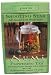 Numi Flowering Tea Shooting Star Green Tea 6 Blossoms Image