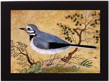 Study of a Bird. Iran. Safavid period. Overall frame size 8 x 6 inches. Ideal for most gifting occassions.