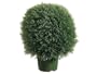 19"Dx22"H Ball-Shaped Pond Cypress Topiary in Plastic Pot Green - LPC392-GR Silk Plant