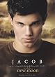 Twilight - New Moon - Single Cards - NON-SPORTS 2009 Neca New Moon Single Trading Card #04 Jacob Black (Taylor Lautner)