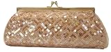 Full Sequin and Beaded, Metal Frame - Evening Bag - Jessamine Bag