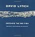 Catching the Big Fish: Meditation, Consciousness, and Creativity