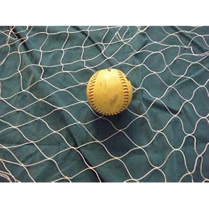Click here to buy 15 X 25 Soccer, Basketball, Softball, Sports, Fish Net, Netting by Florida Nets.