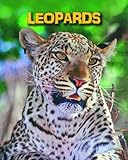 Leopards