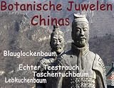 Eigenschaften Seedeo Botanische Juwelen aus China / Gewächshaus Botanische Juwelen aus China