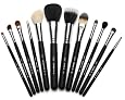 Sigma Makeup 12pcs. Professional Brush Set