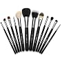 Sigma Makeup 12pcs. Professional Brush Set
