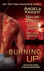 Burning Up