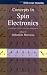 Image of Concepts in Spin Electronics (Series on Semiconductor Science and Technology)