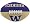 Washington Huskies