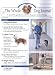 Magazines : Whole Dog Journal