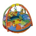 Propn Play Discovery Gym and Play Mat