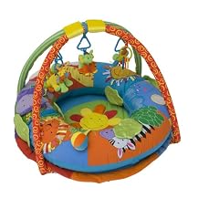 Propn Play Discovery Gym and Play Mat