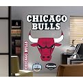 Chicago Bulls Logo Wall Décor