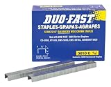 Duo Fast 5010C 20 Gauge Galvanized Staple 1/2-Inch Crown x 5/16-Inch Length, 5000 Pack