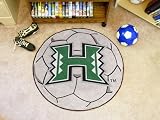 Hawaii Soccer Ball Rug
