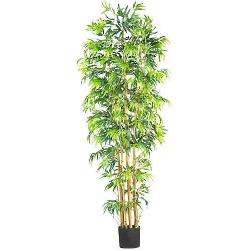 7' Silk Multi Bambusa Bamboo Tree