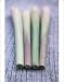 Photographic Prints of Lemon grass from Science Photo Library