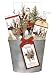 Pine Santa Soap Gift Bucket