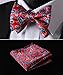 SetSense Men's Paisley Jacquard Woven Self Bow Tie Set One Size Red / Blue