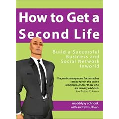 How to Get a Second Life: Build a Successful Business and Social Network Inworld