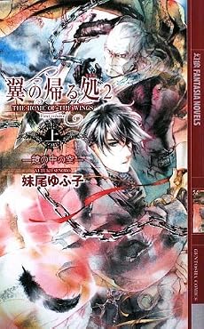 翼の帰る処〈2〉鏡の中の空〈上〉 (幻狼ファンタジアノベルス)