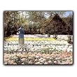 La Culture des Tulipes - Gift Enclosure Cards (set of 12)