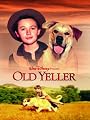 play video on Amazon Instant Video