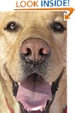 Jack: A book about a dog where the dog doesn't die at the end
