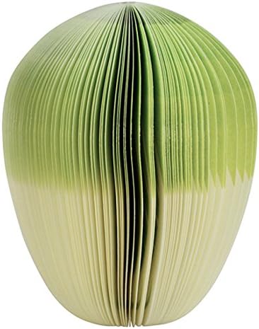 Padmall Cute 3D Specially Vegetable Design Note Desk Memo Paper Scratch Pad, 150 Pages Per ,2 Pcs, Cabbage
