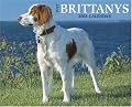 Just Brittanys 2008 Calendar (Just)