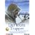 Der letzte Trapper (Einzel-DVD)