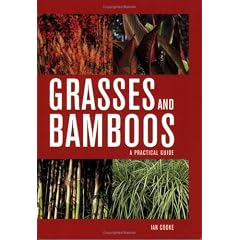 Grasses and Bamboos