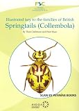 Illustrated key to the families of British springtails (Collembola)