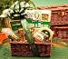 Thanks A Million Gift Chest Gift Basket