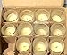 Eastland Set of 12 Clear Standard Votive Holders